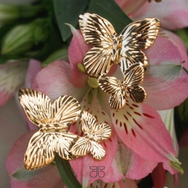 BRINCO BORBOLETA DUPLA